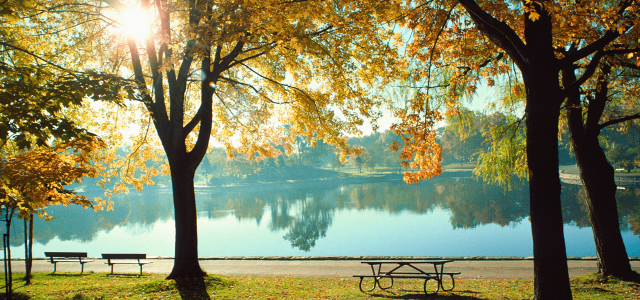 Autumn in the park